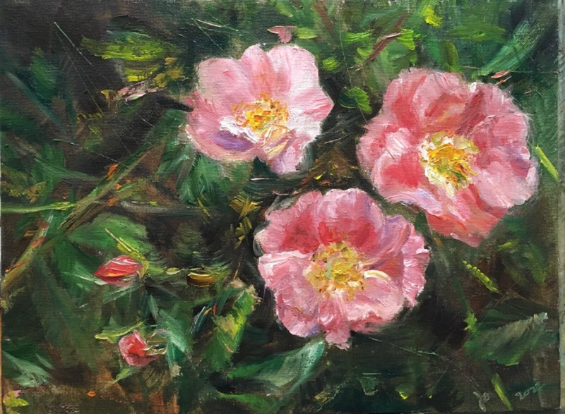Original oil painting, Floral, DOG ROSE 9×12” Schelp