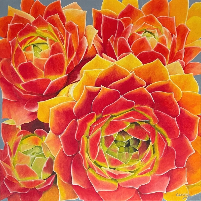 Succulent Oil Painting, Original Oil Painting "Succulent Roses (24" x 24") gallery