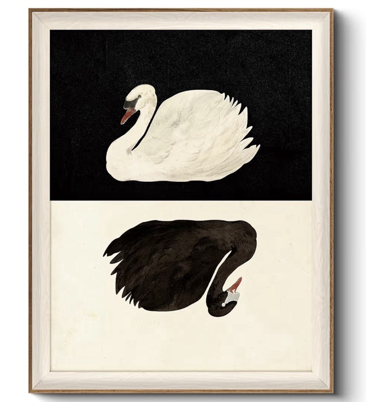 Vintage Swan Framed Wall Art | 16×20 Large Black/White Painting Canvas Print