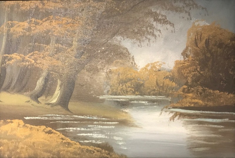 FOREST LAKE gallery