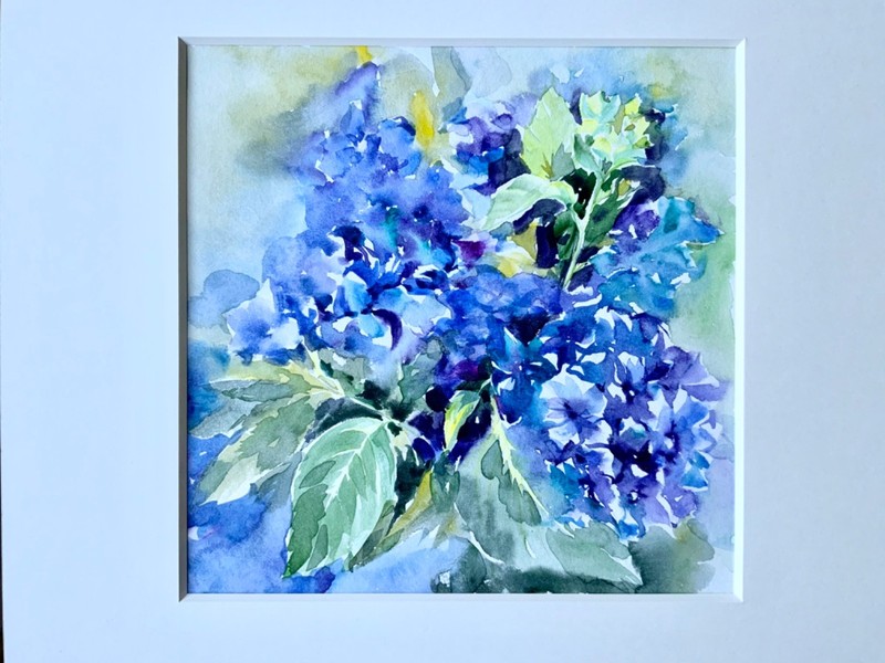 Original watercolor painting «Blue Hydrangea» 25×25 cm. Author I Tarasova