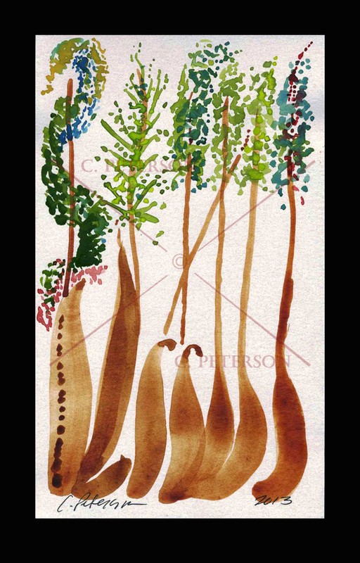 Magic of Trees Woods forest Cathy PETERSON Original Watercolor PAINTING = SIGNED