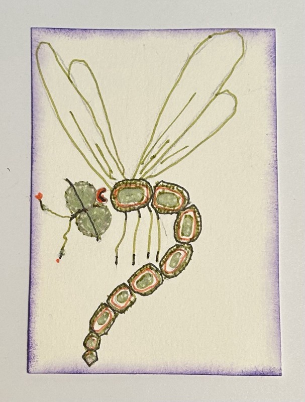 ACEO Original ‘The Sleepy Dragonfly’ Paintings By Lyn’et – Original