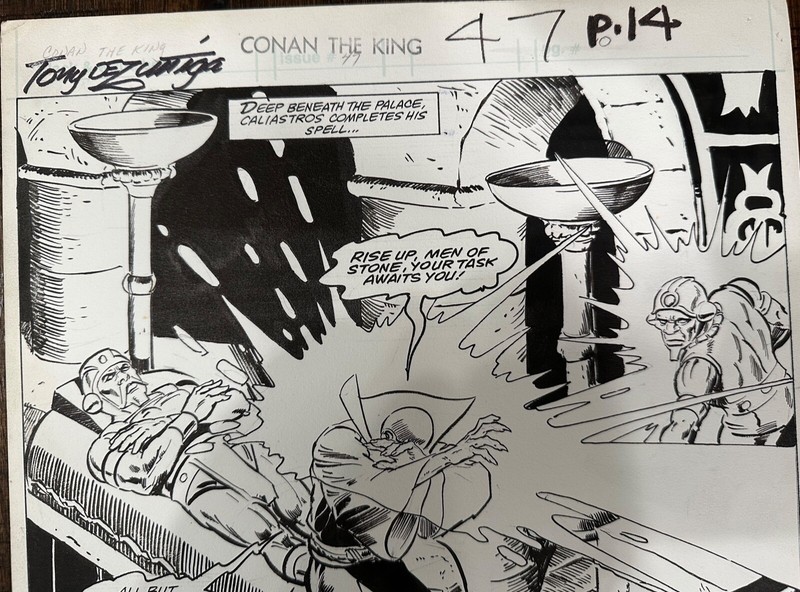 SIGNED - Tony Dezuniga Conan the King #47 page 14 Splash page  gallery