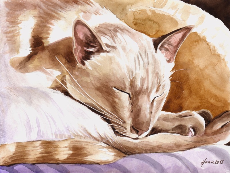 Original Watercolour, Cat, Sleeping Siamese Cat, Animal Pictures, Art