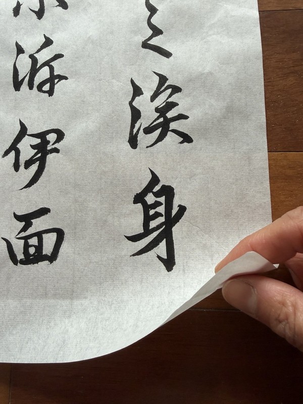 Unframed Chinese Calligraphy Ode on Leisurely Living Freehand 閒居賦2651 gallery