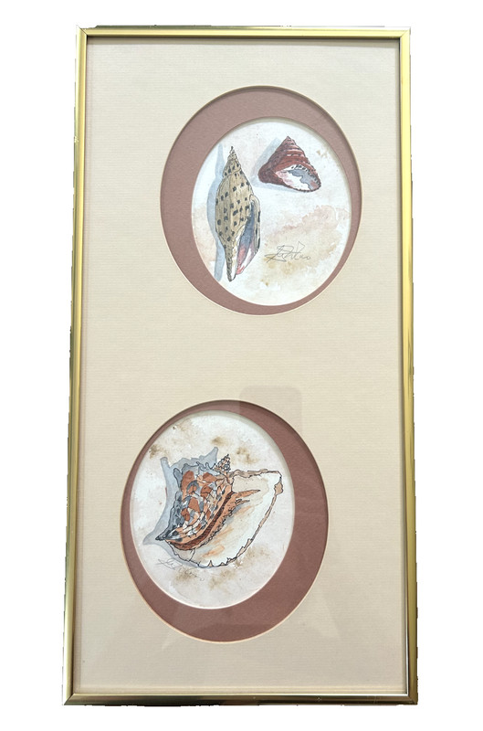 Vintage Cottage Core Prints George Caso Sea Shell Beach Chrishawn Assoc. Signed
