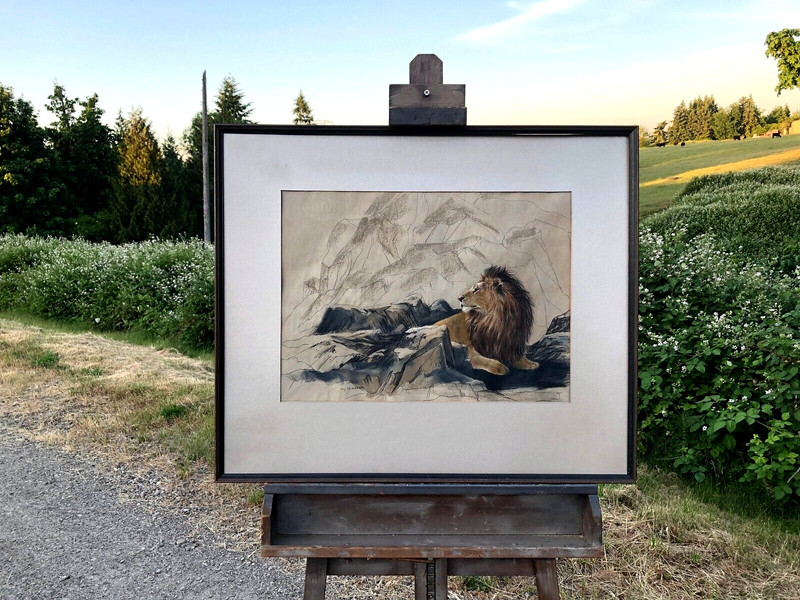 Kay DeGreef, African Lion, Original Watercolor, a Magnificent Detailed Painting gallery