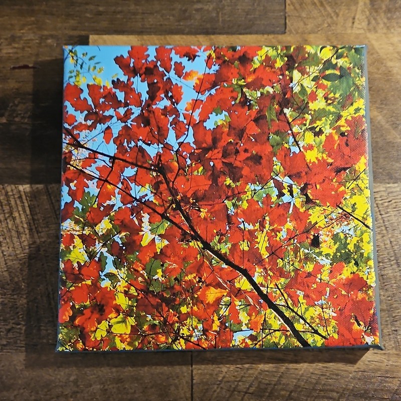 Stretched Canvas Painting Autumn Leaves Tree Realism Nature Wall Art 8×8 in