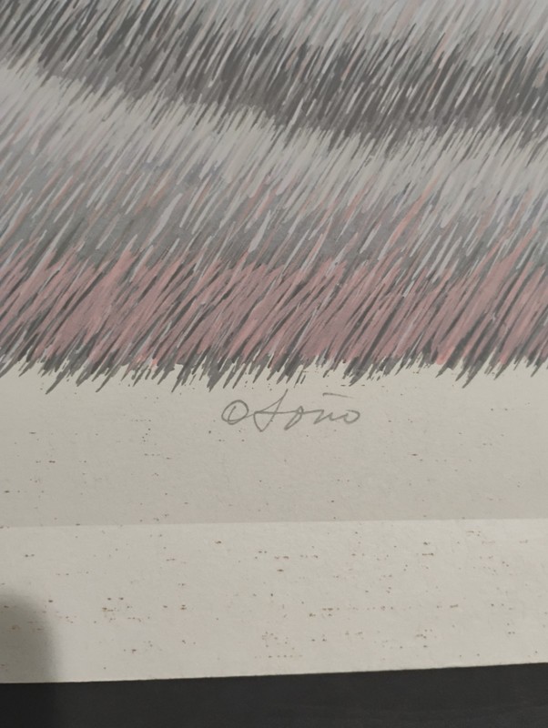 Julia Ninio Signed And Numbered By Artist Buenos Aires Argentina gallery