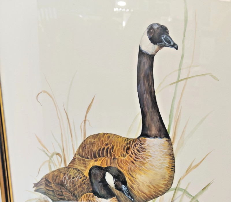 Stunning Original Paul Margocsy Geese Goose Mixed Media Bird Study Signed - AF gallery
