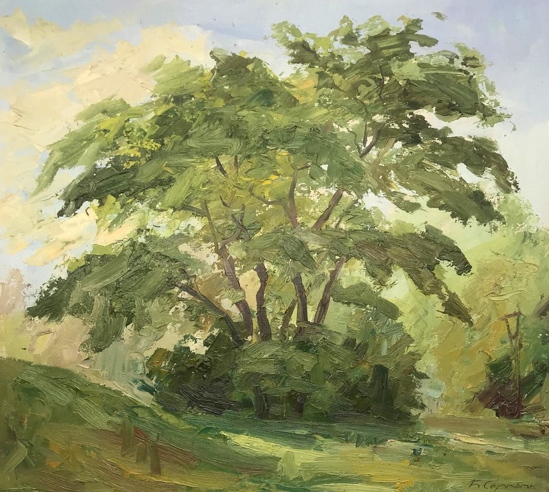 Oil Painting Oak Trees B. Serdyuk Unframed Original Home Decor Art nAAA3203