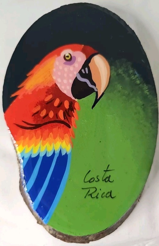 Handpainted Original Macaw Parrot Painting On Edge Wood Slab Costa Rica 6″x3.5″