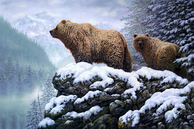 Two brown bears Oil painting Picture HD print on canvas L1707