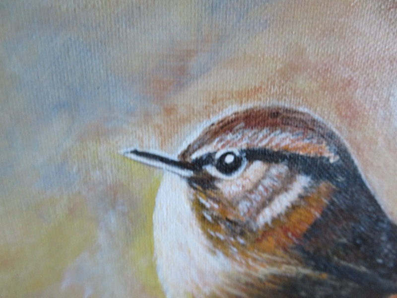 Stunning Wild Bird PAINTING on Canvas Amazing Colors Painting NOT a Print gallery