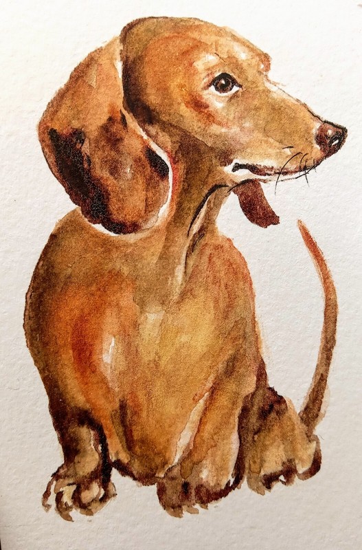 ACEO dachshund dog art signed by The Artist painting,home design,pet lover gift