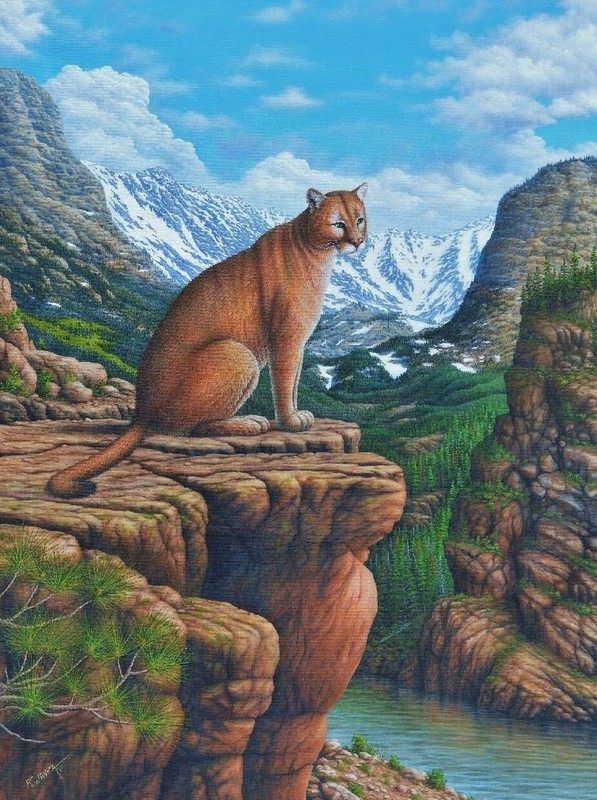 Fine, Art, Original, Painting, Cougar, Wildlife, Landscape, Mountain Lion