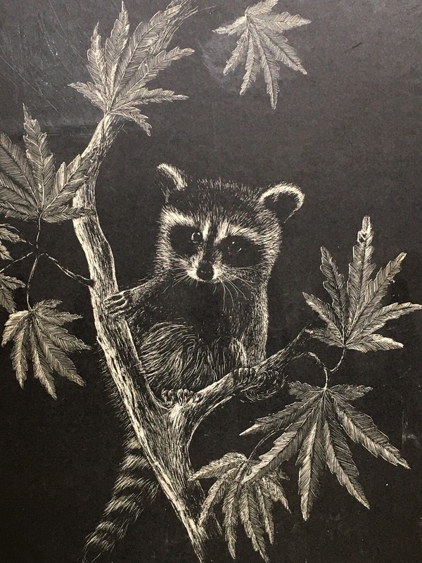 Raccoon Painting Black & White By Jack Laumena Signed Limited Edition 21/200 Vtg