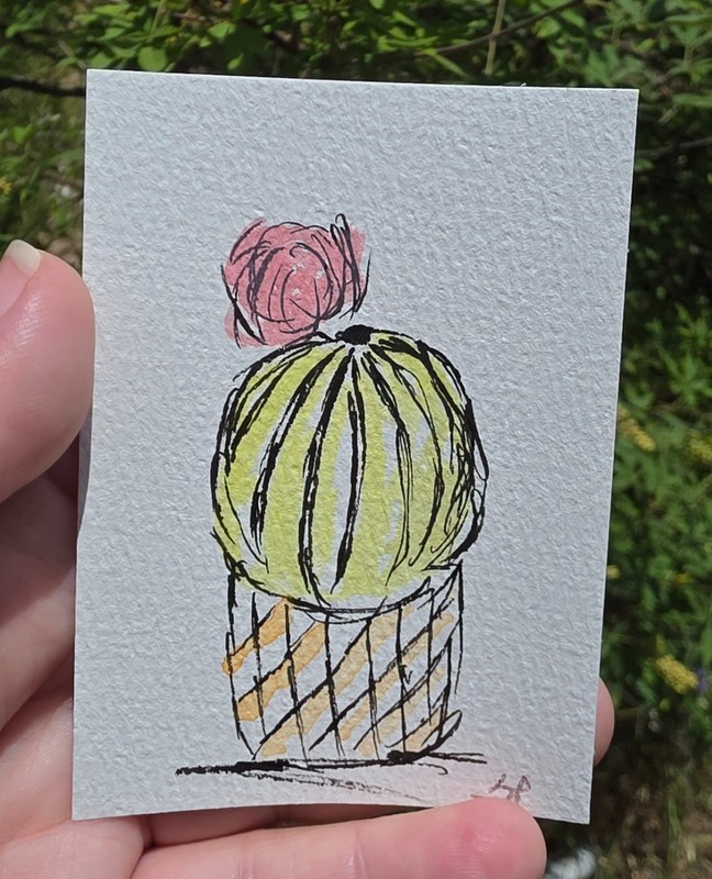 ACEO Original Cactus with Flower Ink and Watercolor Signed @TxTootie