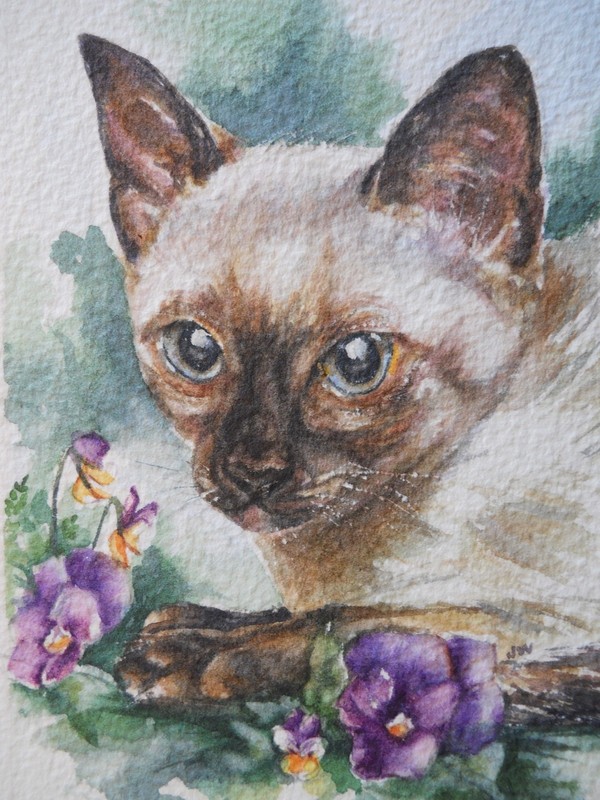Original Siamese Cat Feline Animal Violet Painting