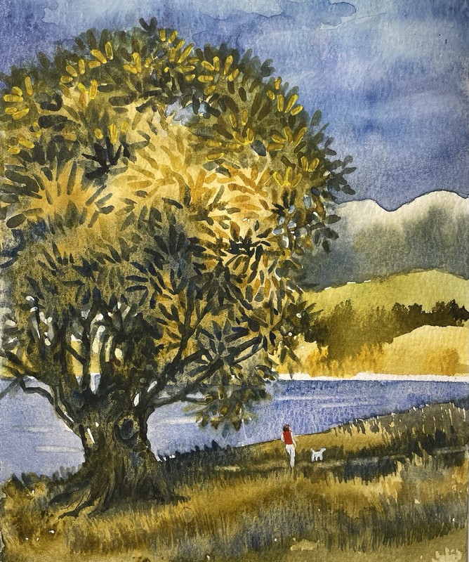 Pamela Wilhelm Watercolor 5”x7” Original Big Tree Lake Trail Woman Dog Walking