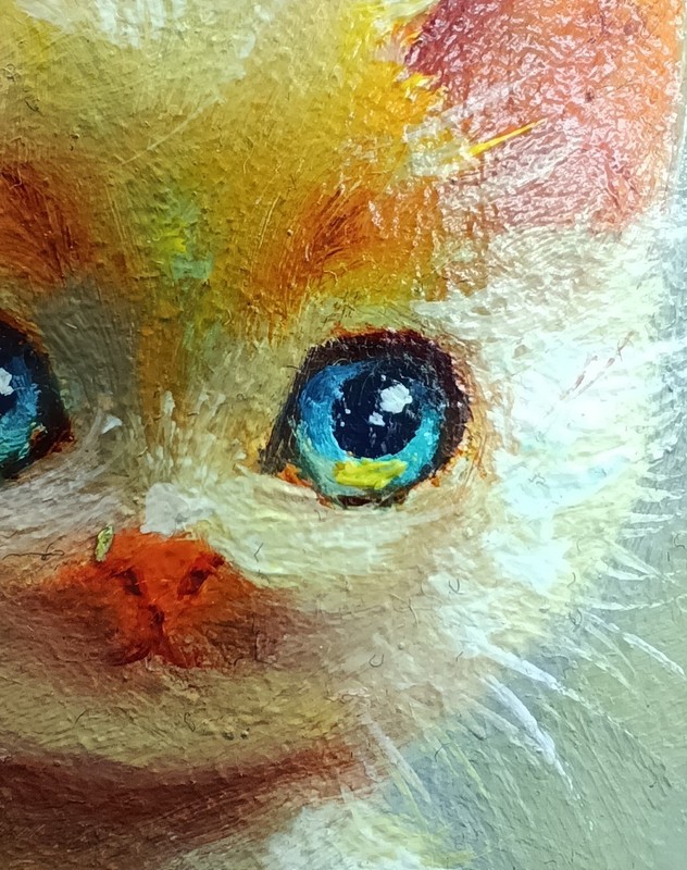 Original oil painting framed portrait art Cats 4x4 inches gallery