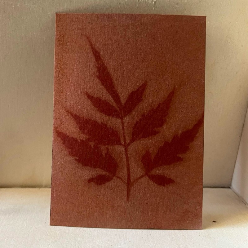 ACEO Original Art Card 2.5 x 3.5 anthotype mini painting leaf