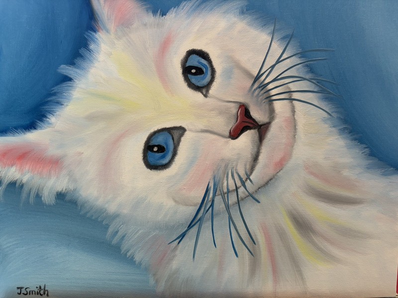 Original Oil painting art on canvas 11 x 14 in portrait colorful abstract cat gallery