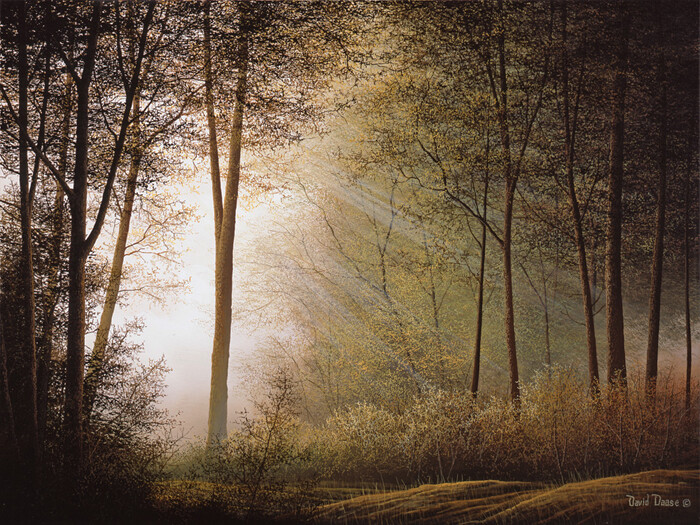 David DAASE » Beyond The Shadows «Limited Edition Canvas First Light Sun SIGNED