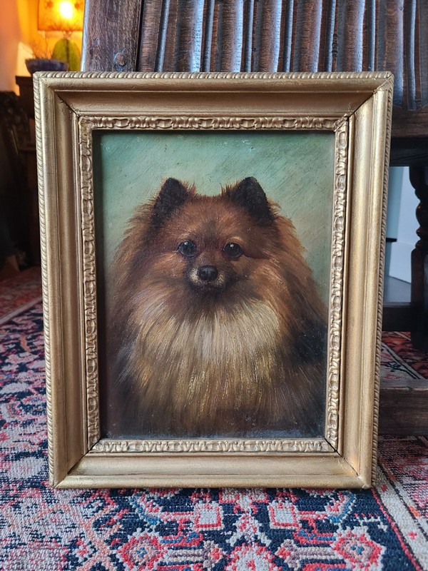 Charming Antique 19th Century Oil Painting Portrait of a Pomeranian Dog