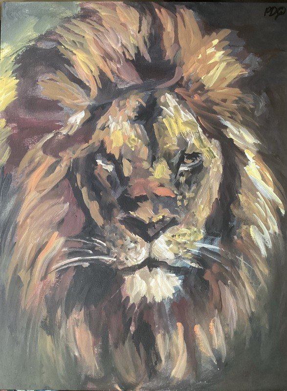 PDQ Artist Originals Paintings Wildlife Lion Impressionistic Acrylics 16x12 Art gallery