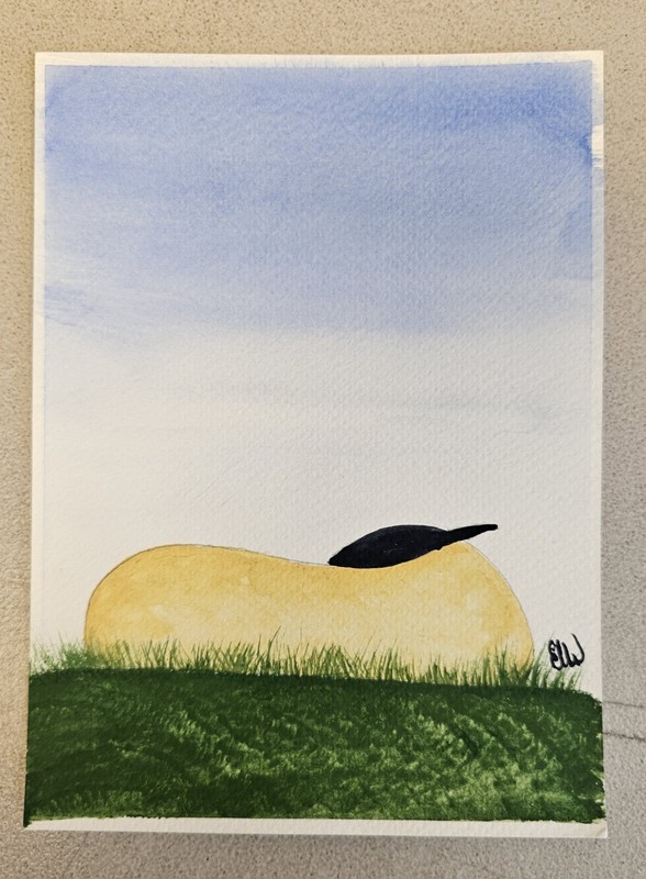 Vintage SHEEP SLEEPING IN GRASS Watercolor Painting on Paper by Elaine Cummins?