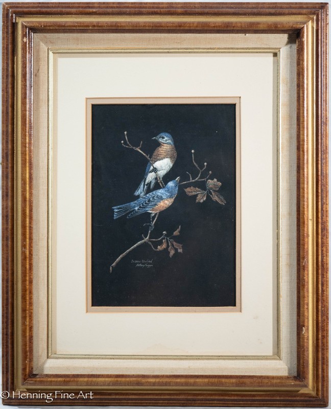 Beautiful Vintage Anthony Griggs Scratchboard Art of Eastern Bluebirds, Rare