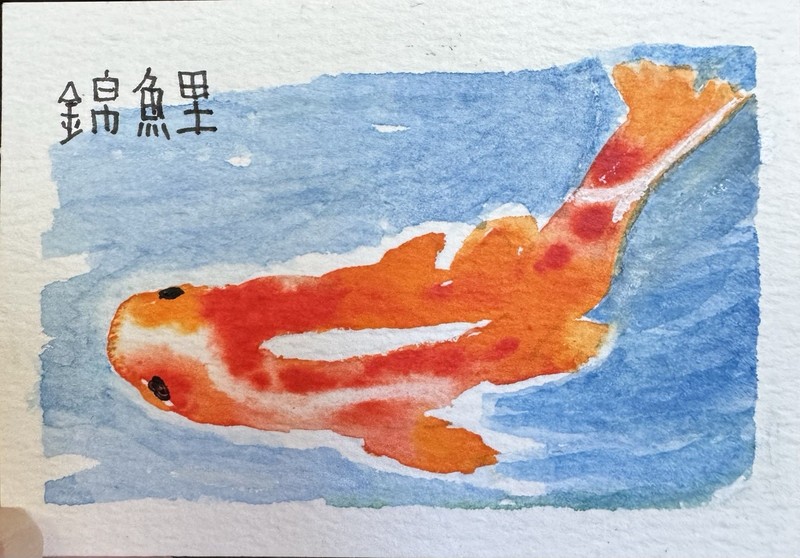 ACEO Original Watercolor Koi Fish Pond Goldfish by Mary Barton, KBug.Art