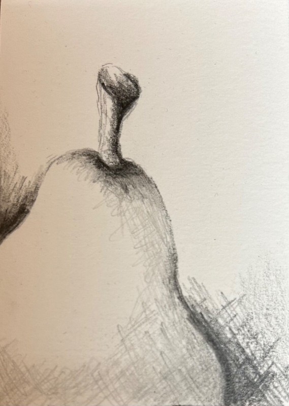 ACEO Original Pencil Drawing Graphite Pear Fruits Foodie Kitchen Culinary Art
