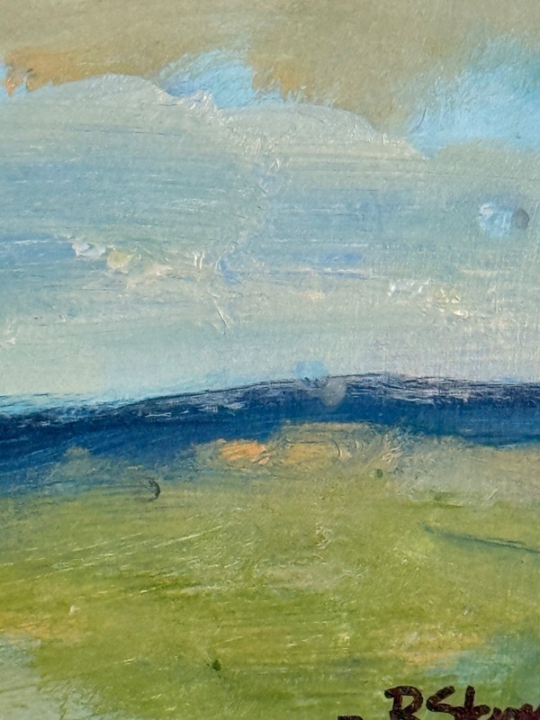 R Stevens Contemporary Impressionist Landscape Painting Blue Sky Acrylic Art gallery