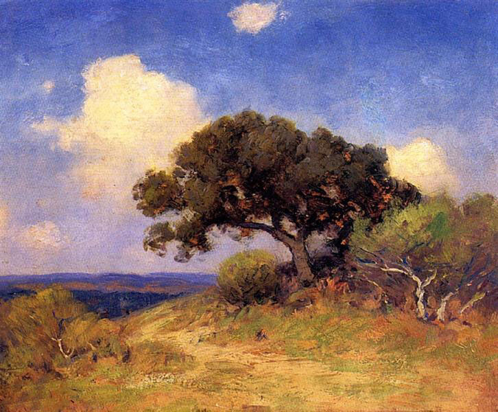 high quality oil painting handpainted on canvas-Old Live Oak