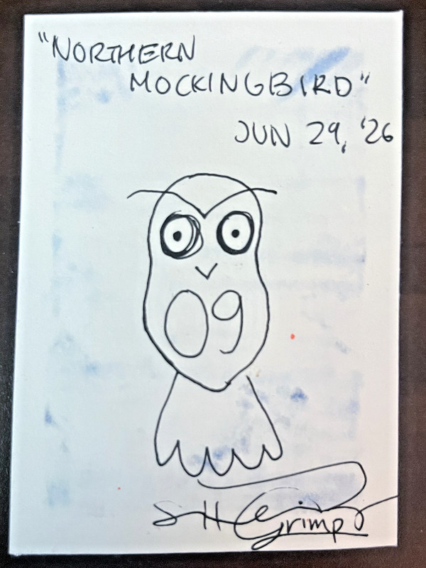 Original Signed ACEO Art Card - N. Mockingbird ; Bird Series 09 - Mixed Media gallery