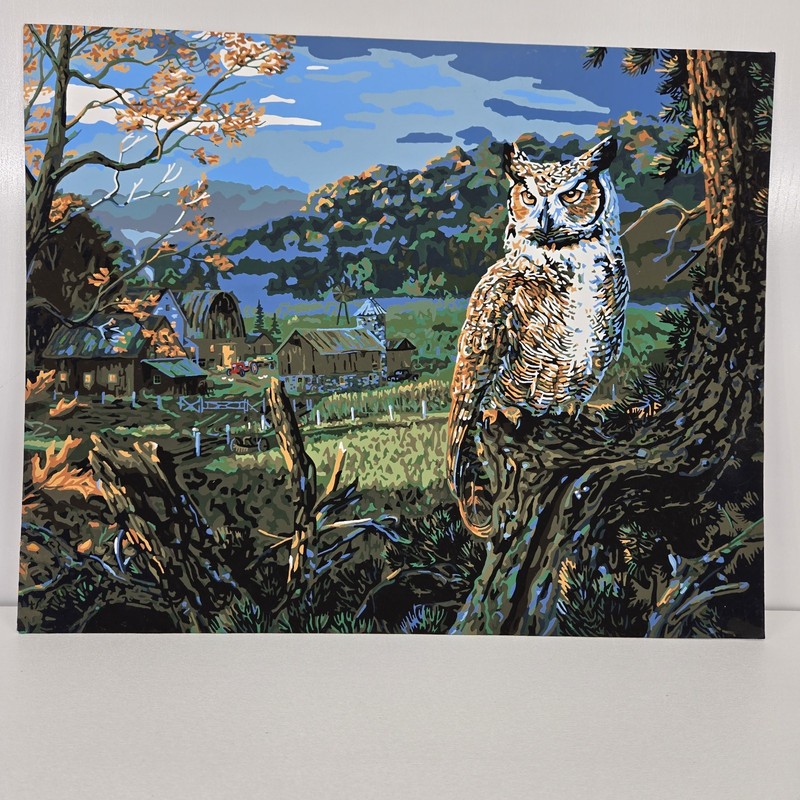 Edge Of The Night Finished Acrylic Painting Paint By Number Great Horned Owl