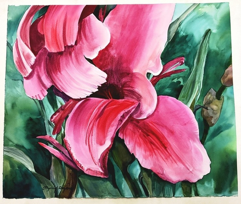 Phyllis J Doyon Watercolor Floral Painting (Canna Lily) 25×21 California Artist