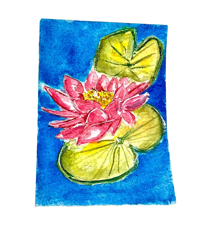 ACEO Original lotus pink flower in pond ATC OOAK Cherie Donnell