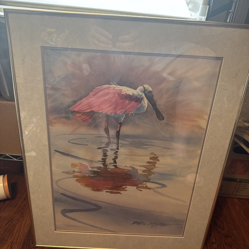 Phil Fisher Roseate Spoonbill Water Color Signed And Framed 26 X 20 1/2