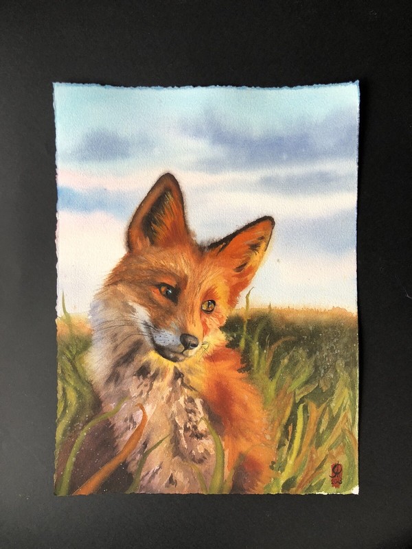 Watercolor illustration, Fire Fox , Fox Autumn Decorations
