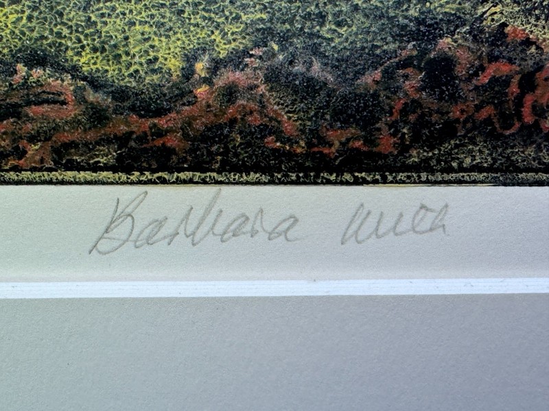 SURREAL ABSTRACT BIRD PAINTING SIGNED BARBARA ILLEGIBLE 1/1 ETCHING HAND PAINTED gallery