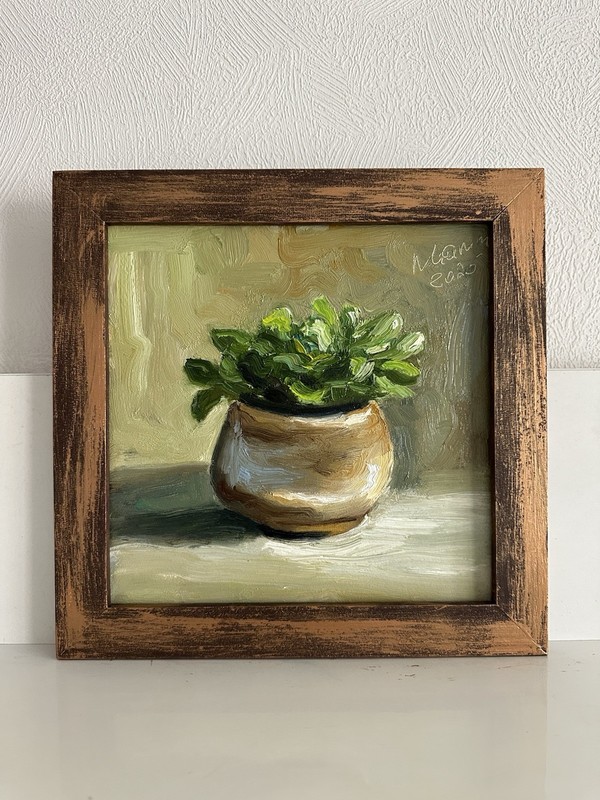original oil painting still life 20х20cm Semi-abstract small money tree, plant