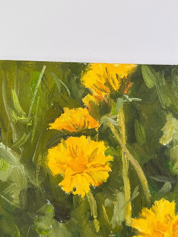 OIL PAINTING | Original art | Frolar painting | Dandelions | Impressionism gallery