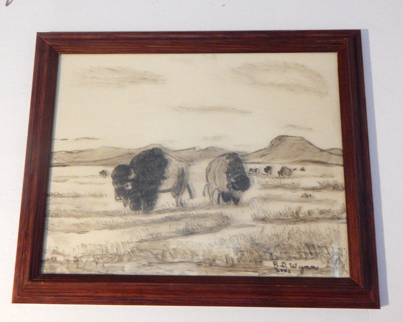 BUFFALO ART Painting R.D Wymm Signed Framed 16 x 13 ORGINAL Art drawn on glass
