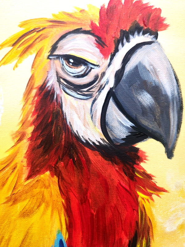 Tropical Bird Painting 12x16 Original Contemporary Animal Art gallery