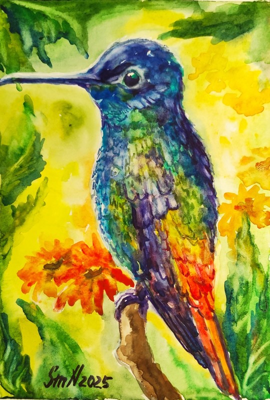 Original Art Humminbird Unique Contemporary Watercolor Bird Portrait Painting