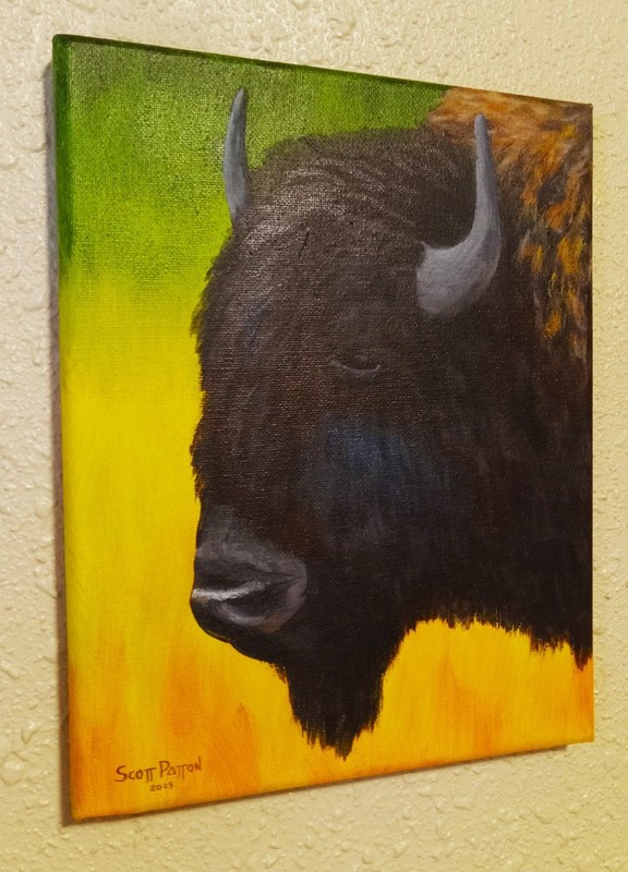 Scott Patton Art: "American Bison Portrait 4" Original Western Buffalo Painting gallery